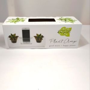 Syndicate Home & Garden Plant Amp